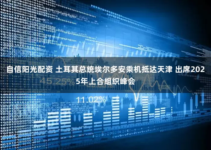 自信阳光配资 土耳其总统埃尔多安乘机抵达天津 出席2025年上合组织峰会
