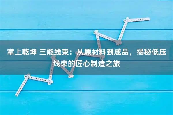 掌上乾坤 三能线束：从原材料到成品，揭秘低压线束的匠心制造之旅